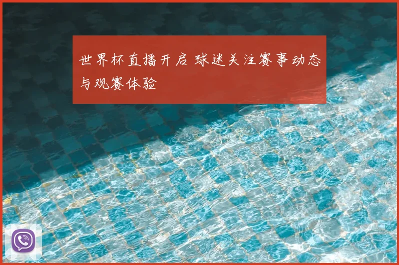 世界杯直播开启 球迷关注赛事动态与观赛体验