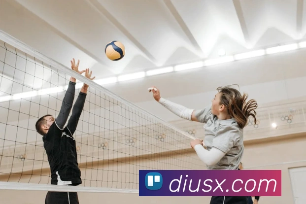 华体官网首页登录入口全站App